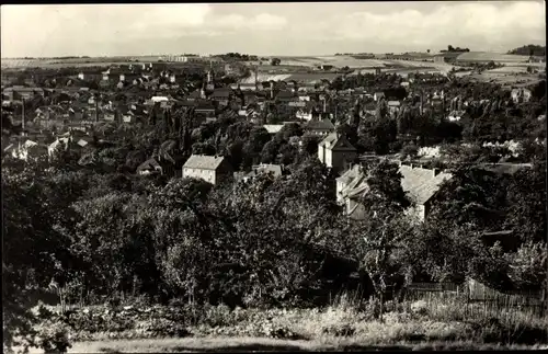 Ak Roßwein in Sachsen, Panorama