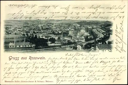 Ak Roßwein in Sachsen, Panorama