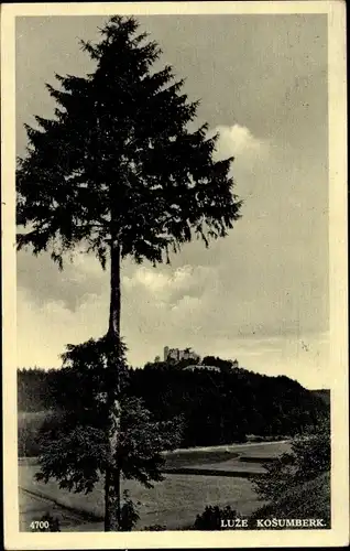 Ak Luže Lusche Region Pardubitz, Hrad Kosumberk