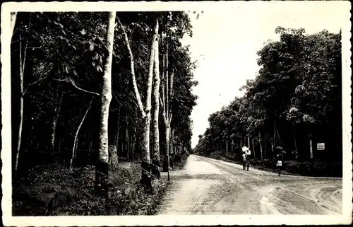 Ak Dizengue Kamerun, Plantation d'Heveas