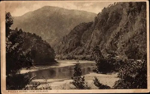 Ak Neuseeland, Buller Gorge, Landschaft