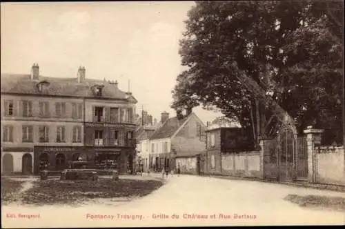 Ak Fontenay Trésigny Seine et Marne, Grille du Château et Rue Bertaux