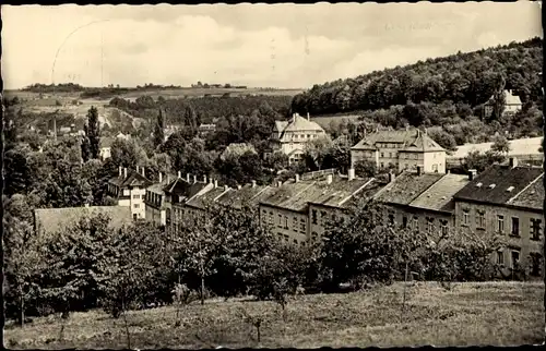 Ak Roßwein in Sachsen, Panorama