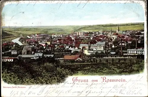 Ak Roßwein in Sachsen, Panorama vom Ort