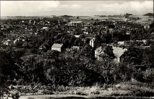 Ak Roßwein in Sachsen, Panorama
