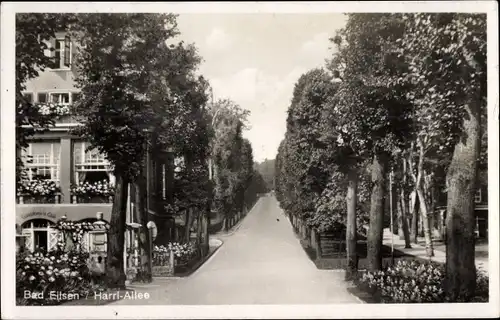 Ak Bad Eilsen Niedersachsen, Harrl-Allee