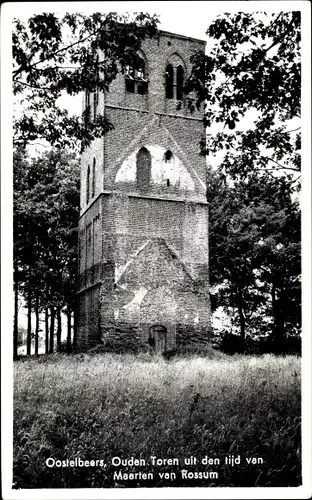 Ak Oostelbeers Nordbrabant Niederlande, Ouden Toren uit den tijd van Maarten van Rossum