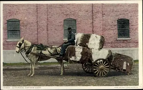 Ak USA, A typical Cotton Cart
