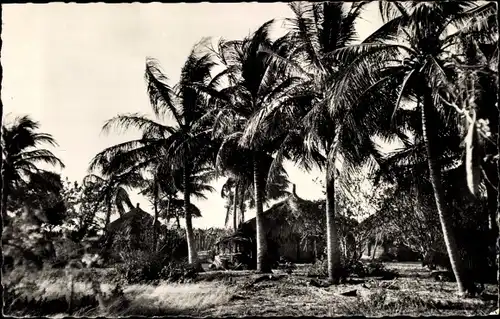 Ak Senegal, Cases sous les Cocotiers