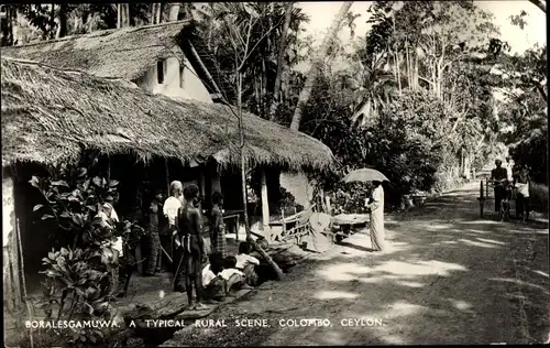 Ak Boralesgamuwa Colombo Ceylon Sri Lanka, A typical rural Scene