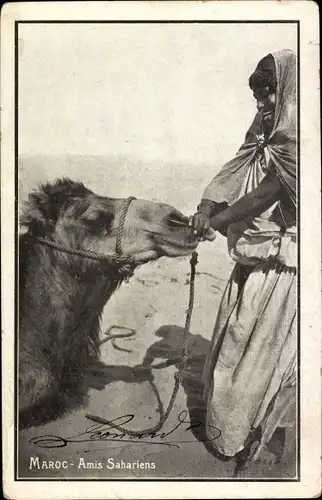 Ak Marokko, Maghreb, Amis Sahariens