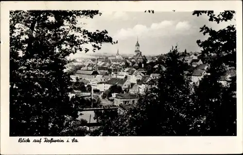 Ak Roßwein in Sachsen, Blick auf den Ort