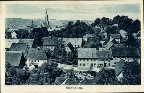 Ak Roßwein in Sachsen, Panorama