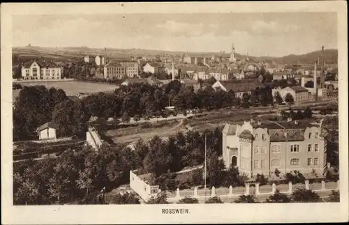 Ak Roßwein in Sachsen, Panorama
