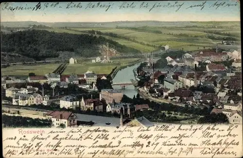 Ak Roßwein in Sachsen, Panorama