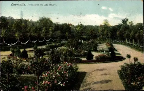 Ak Chemnitz Sachsen, Partie am Rosarium im Stadtpark