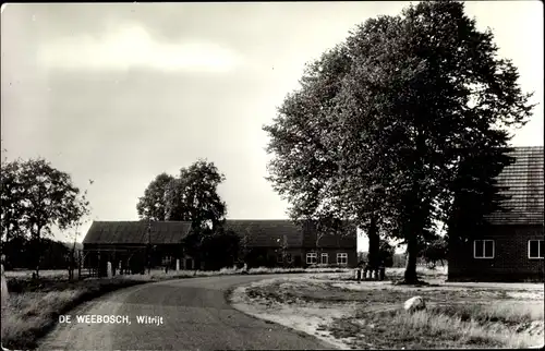 Ak Weebosch Nordbrabant, Witrijt