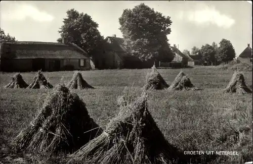 Ak Netersel Nordbrabant, Blick vom Feld aus