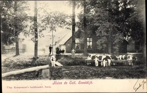 Ak Soestdijk Utrecht Niederlande, Huize de Eult