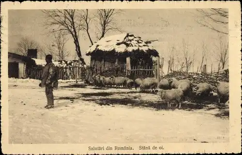 Ak Rumänien, Stana de oi, Rumänisches Dorf, Schafe