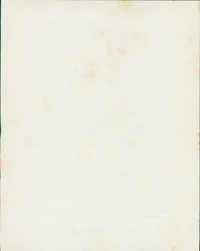 Foto Schweiz?, Männer auf Schlitten an einem bewaldeten Hang, Rodelstrecke