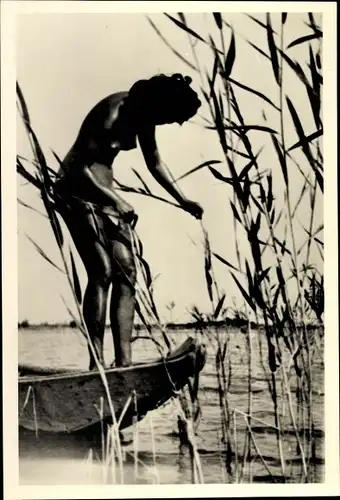 Foto Erotik, Frauenakt, nackte Frau in einem Boot, Schilf