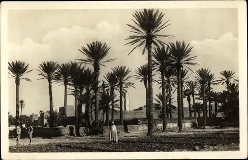 Ak Boudenib Marokko, Tafilalet, Palmen
