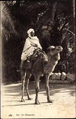 Ak Marokko, Maghreb, Un Chamelier, Kamel