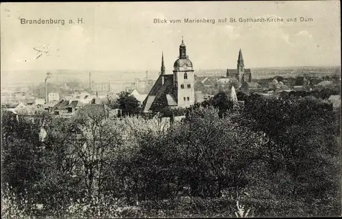 Ak Brandenburg an der Havel, Blick vom Marienberg auf St. Gotthardt-Kirche und Dom