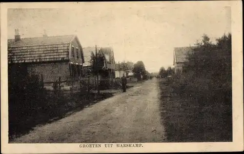 Ak Harskamp Gelderland, Straßenpartie