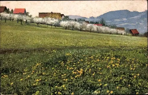 Ak Babiná Slowakei, Frühling im Böhm. Mittelgebirge, Nenke und Ostermaier 229 Nr. 3729