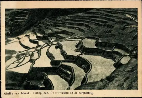 Ak Manila Philippinen, Missien van Scheut, De rijstveldden op de berghelling