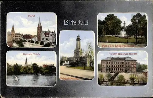 Ak Bitterfeld in Sachsen Anhalt, Markt, Kriegerdenkmal, Großer Teich, Reform Realgymnasium