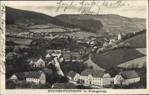 Ak Rościszów Steinseifersdorf Dzierżoniów Reichenbach Eulengebirge Schlesien, Blick auf den Ort