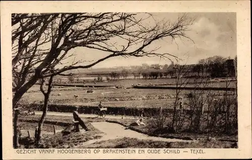 Ak Oude Schild Oudeschild Texel Nordholland Niederlande, Gezicht vana Hoogenberg op Brakenstein