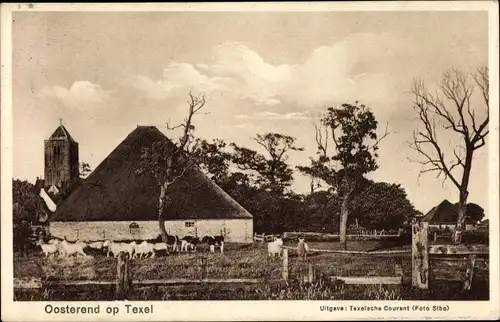 Ak Oosterend Texel Nordholland Niederlande, Bauernhof, Reetdachhaus