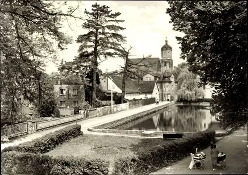 Ak Neustadt an der Orla, Am Gamsenteich, Parkanlage