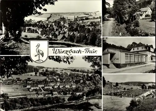 Ak Wurzbach in Thüringen, Blick auf den Ort, Freibad, Wappen