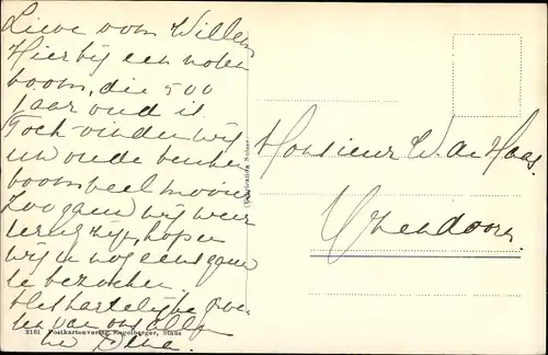 Ak Beckenried Kt. Nidwalden Schweiz, Alter Nussbaum, Allee