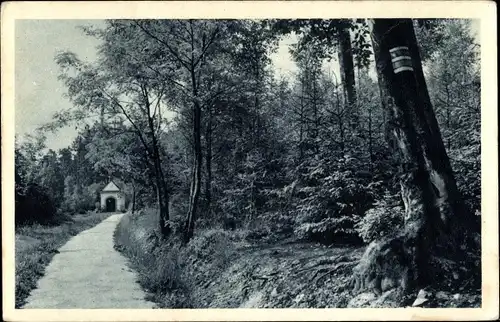 Ak Ústí nad Orlicí Wildenschwert Region Pardubice, Waldweg, Kapelle