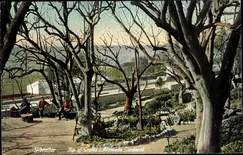 Ak Gibraltar, Top of Grotto, Alameda Gardens