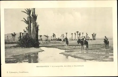 Ak Marrakesch Marokko, L'arrivee, Riviere et Palmeraie