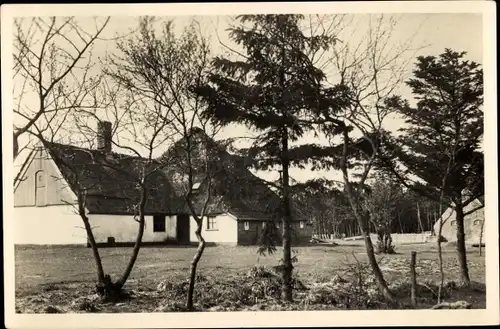 Ak Texel Nordholland Niederlande, Boerderij Hoog Koog