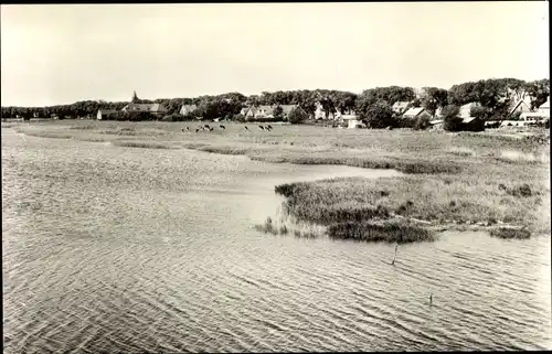 Ak Texel Nordholland Niederlande, de cocksdorp, gezien vanaf de rogsloot