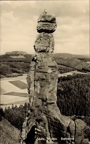 Ak Königstein an der Elbe Sächsische Schweiz, Kletterer an der Barbarine