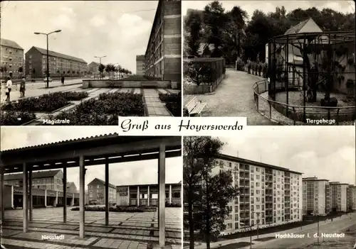 Ak Hoyerswerda in der Oberlausitz, Tiergehege, Hochhäuser in der Neustadt, Magistrale