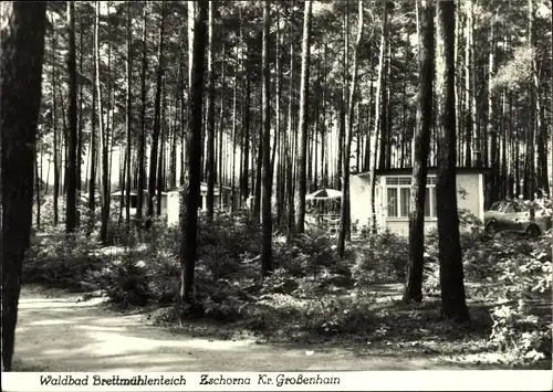 Ak Zschorna Thiendorf in Sachsen, Waldbad Brettmühlenteich