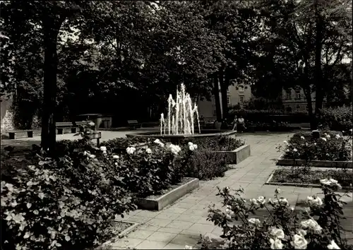 Ak Großenhain Sachsen, Karl Maria von Weber Allee, Anlagen