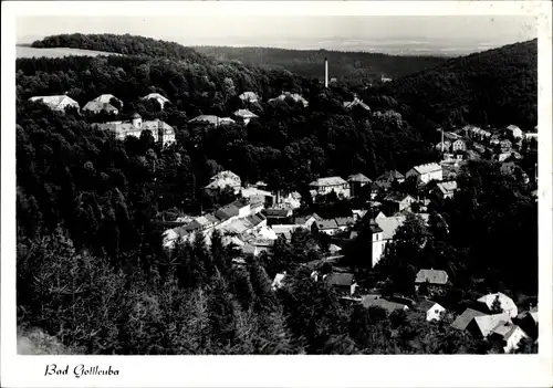 Ak Bad Gottleuba in Sachsen, Panorama