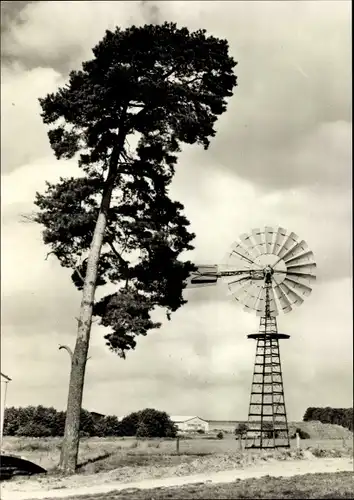 Ak Alt Schwerin Mecklenburgische Seenplatte, Agrarhistorisches Museum, Windmühle